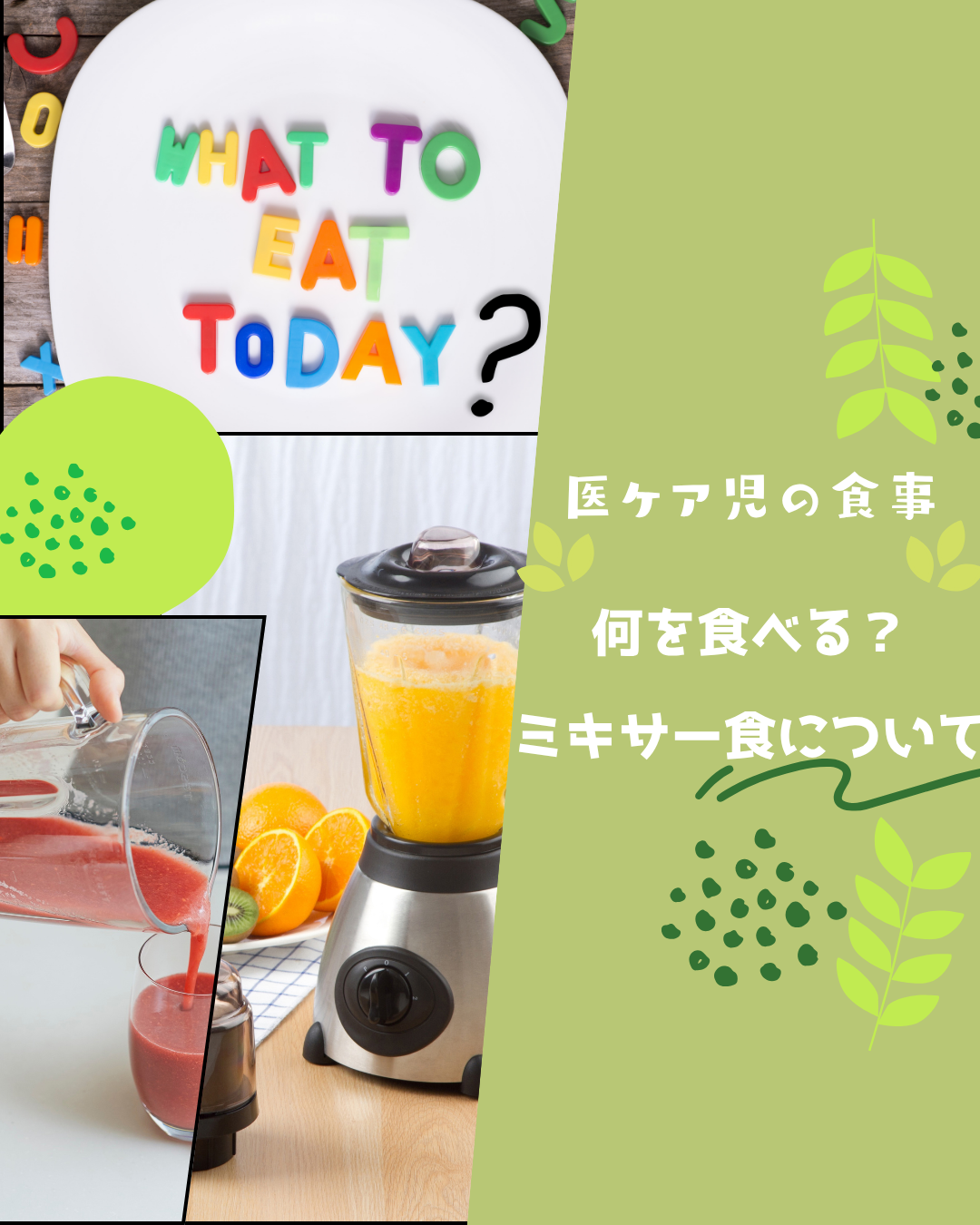 F-3 医ケア児の食事③ 何を食べる?(ミキサー食について)